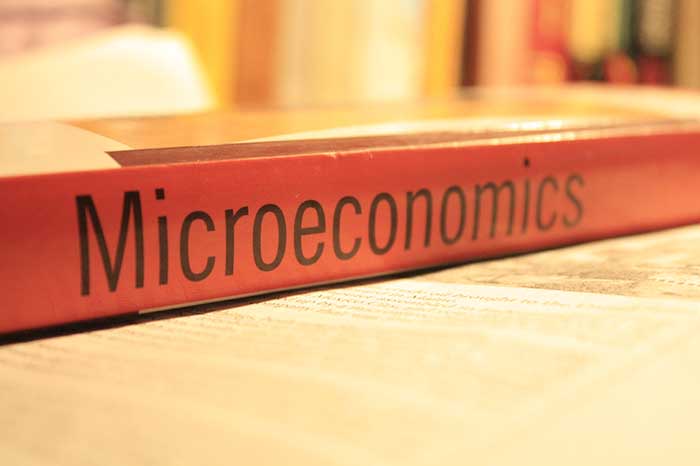 Basic Concepts of Microeconomics